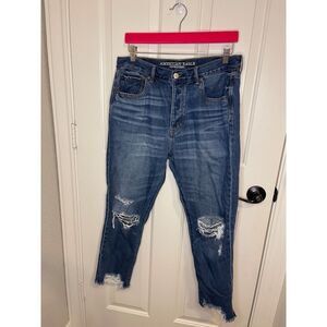 American Eagle Dark Wash Distressed Button Fly Hi-Rise Girlfriend Jeans Size 12S